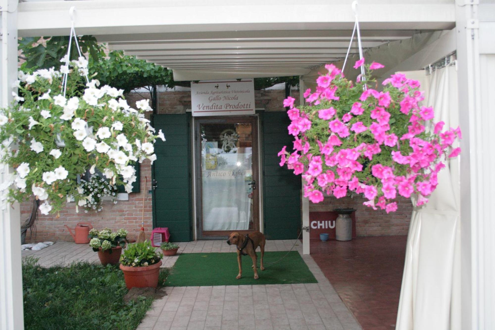 Locanda Antico Figher Villa Musile di Piave Exterior photo